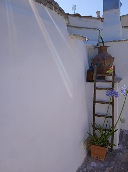 Villa Gasphouse à Castellana Grotte Extérieur photo
