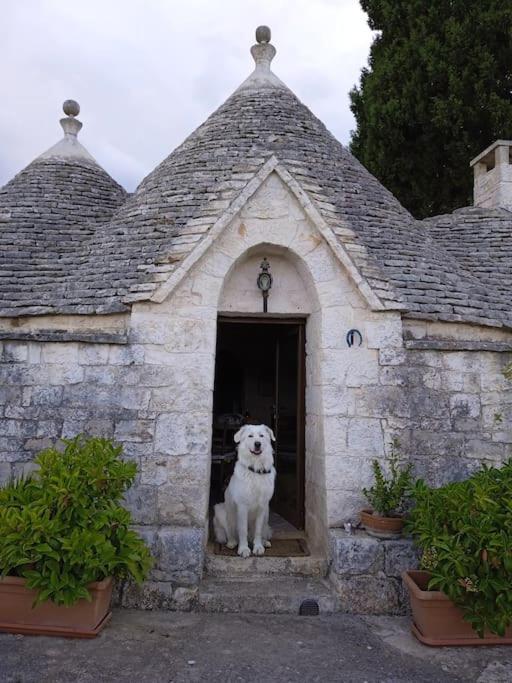Villa Gasphouse à Castellana Grotte Extérieur photo